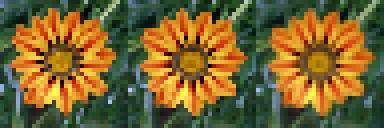 flower resizing examples